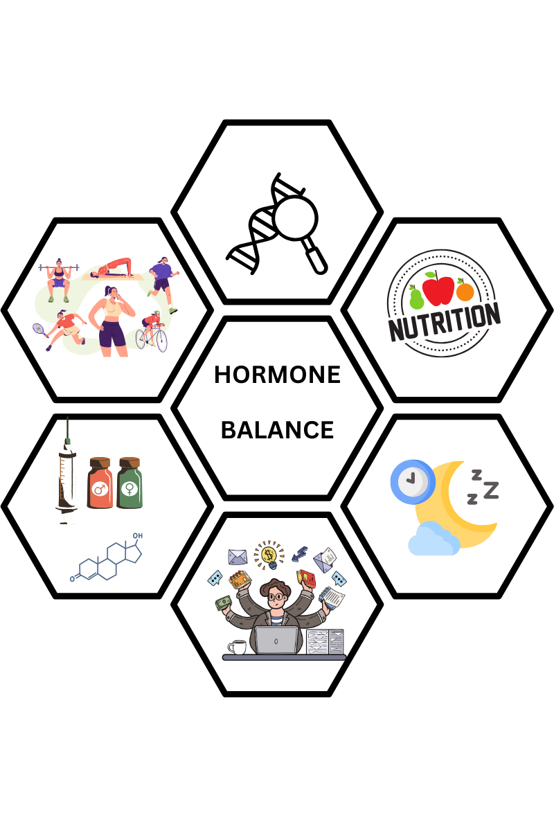 Illustration of hormone effects, energy, sleep, stress resilience and management through HRT, lifestyle, and nutrition.