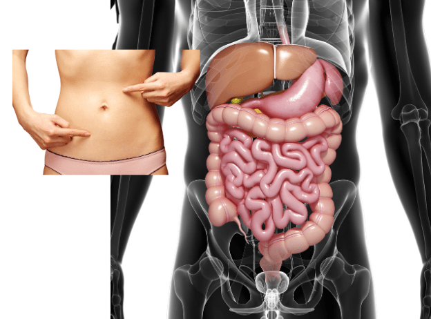 Illustration of gut health addressing IBS, Crohn’s disease, ulcerative colitis, coeliac disease, GERD, food intolerances, and other digestive disorders.