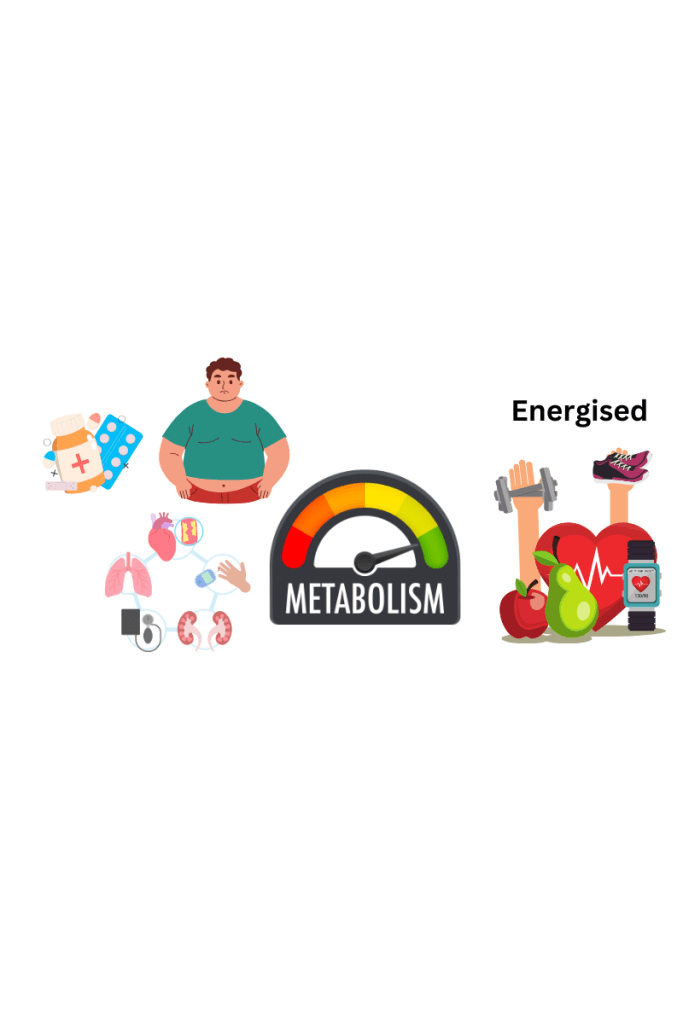 metabolism scale representing healthy and energised at the green end and oveweight, poor insulin regulation, medication dependent and poor health at red end.