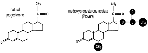 Progestin does not equal to progesterone